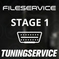 ETune custom stage 2 ( sport cars )